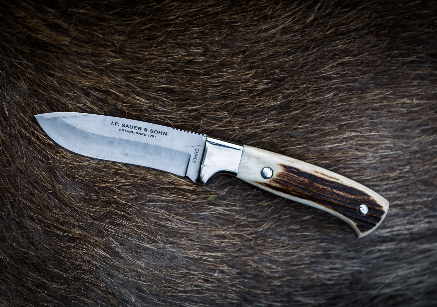 Sauer Hunting Knife Stag